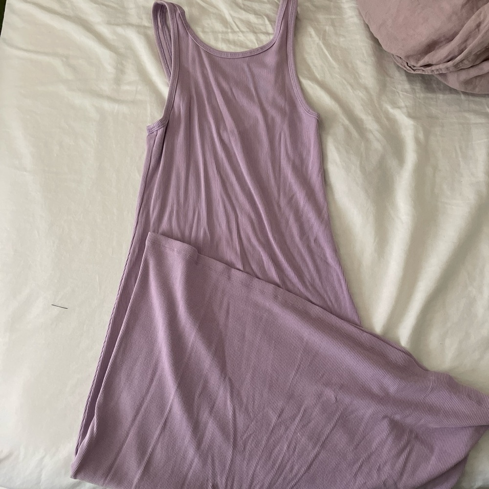 Aritzia Fauna dress